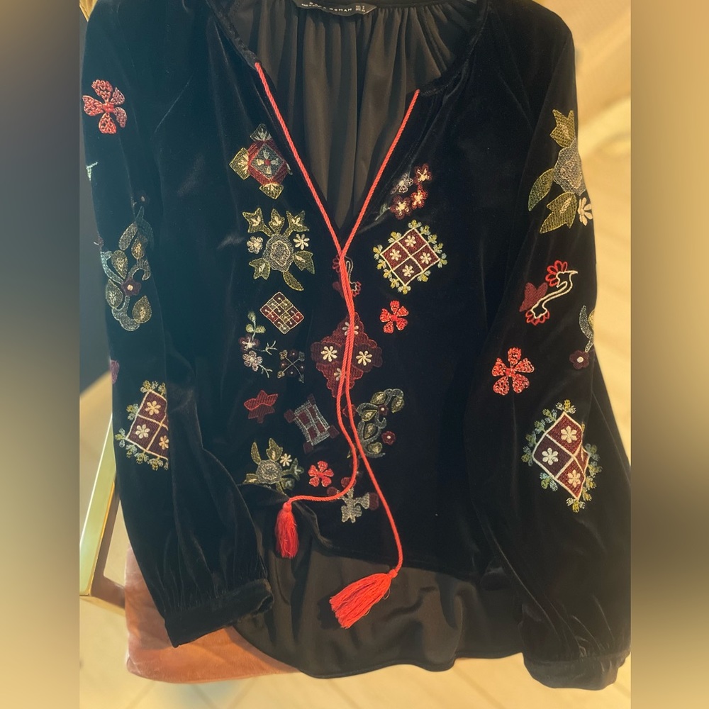 Zara Embroidered Velvet Top